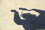 32 FESTIVAL CERVIA 2012 - 200
